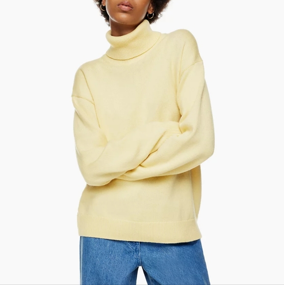 Aritzia Wilfred Free Treasures Turtleneck - Picture 6 of 10